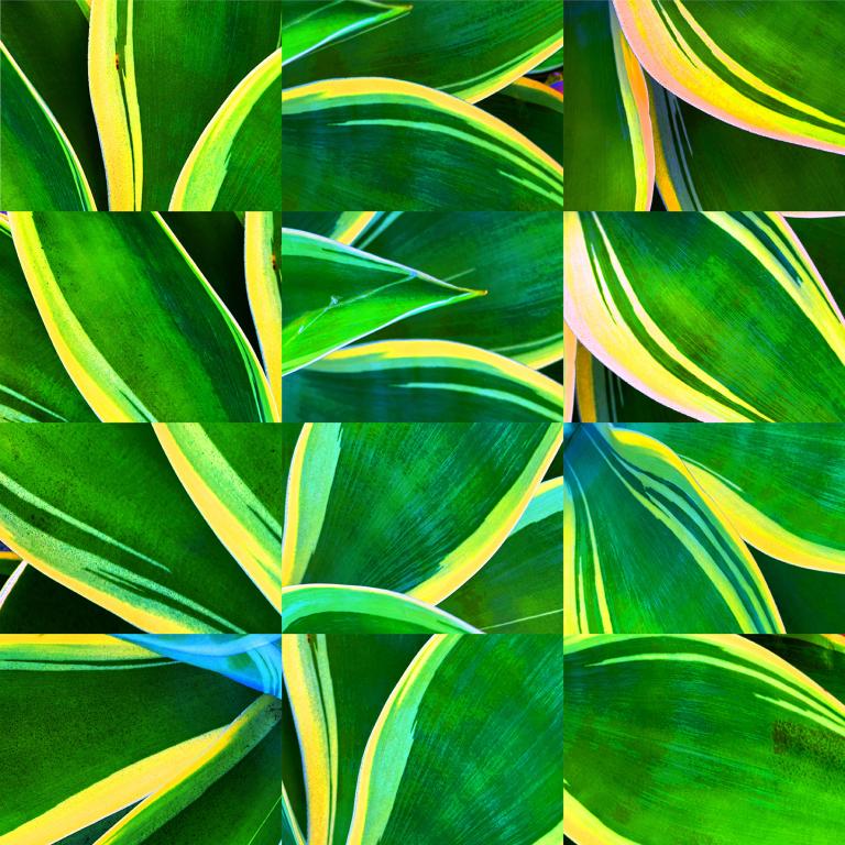 Simo Neri - FLOW - 1