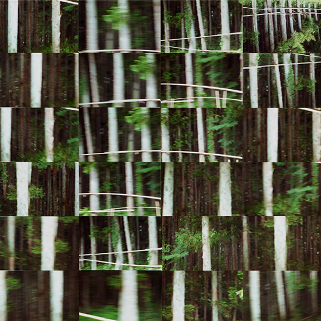 MOVING LINES I