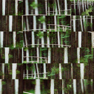 MOVING LINES I