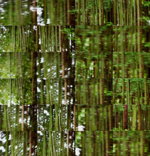 MOVING LINES III