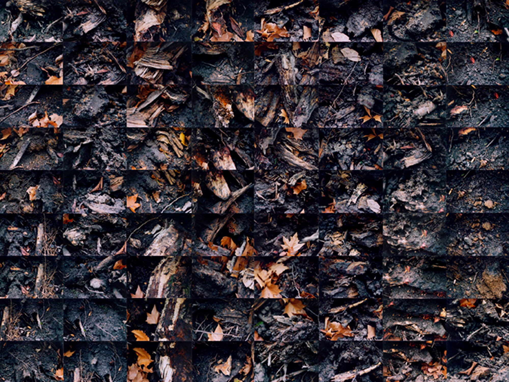 Uprooted