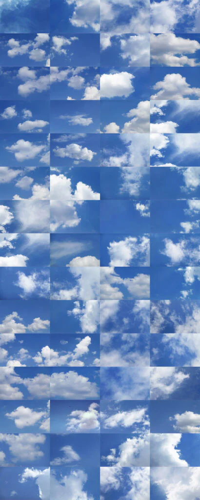 NEW SKY