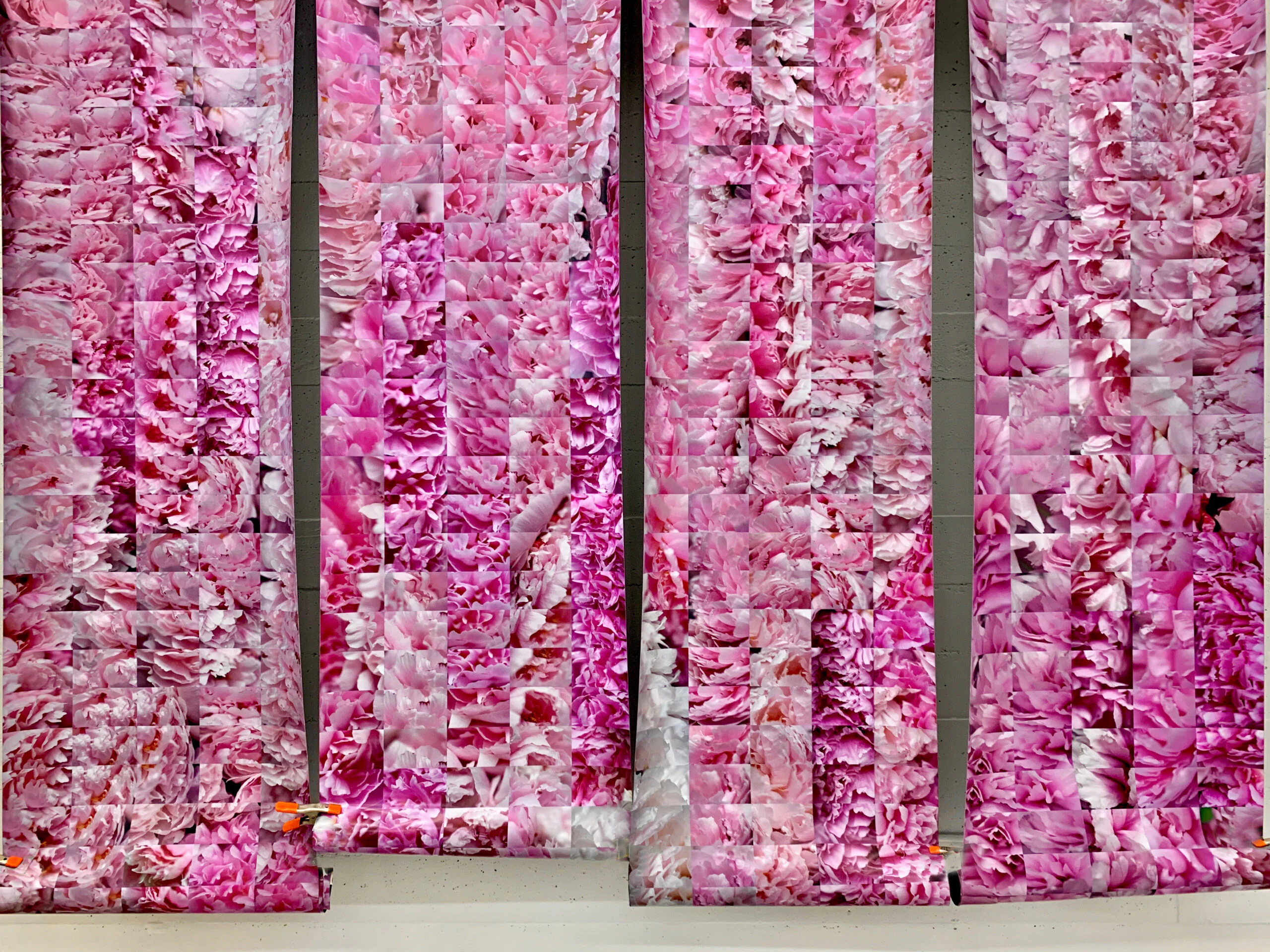 Spring Interrupted 2020mixed media installation,126 in x 158 in 4 panels, lambda prints mounted on canvas, each panel independently available. In the middle of preparing for Spring Open Studios this year, the floral, spring-like environment that I had planned for my studio tour was suddenly interrupted, mid-hanging, thanks to the pandemic and subsequent lockdown.Five months later, in preparation for another Fall Open Studios, the four partially hung panels of peony details have become a virtual “Spring Interrupted”, while I complete the installation with a new collection of themed silk scarves on the facing wall. Spring Interrupted 2020mixed media installation,126 in x 158 in 4 panels, lambda prints mounted on canvas, each panel independently available. In the middle of preparing for Spring Open Studios this year, the floral, spring-like environment that I had planned for my studio tour was suddenly interrupted, mid-hanging, thanks to the pandemic and subsequent lockdown.Five months later, in preparation for another Fall Open Studios, the four partially hung panels of peony details have become a virtual “Spring Interrupted”, while I complete the installation with a new collection of themed silk scarves on the facing wall.