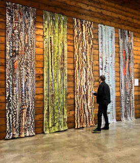FIVE TREES, an installation